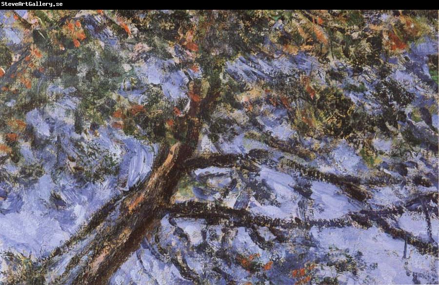 Claude Monet Unknown work